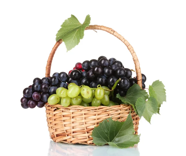白で隔離されるバスケットで熟した赤いブドウ — ストック写真