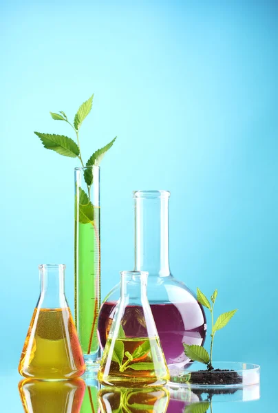 Tubos de ensaio com plantas sobre fundo azul — Fotografia de Stock