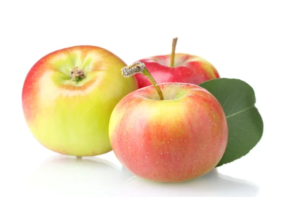 Manzanas maduras sabrosas aisladas en blanco — Foto de Stock
