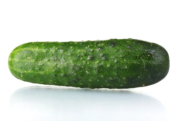 Grön gurka isolerad på vit — Stockfoto
