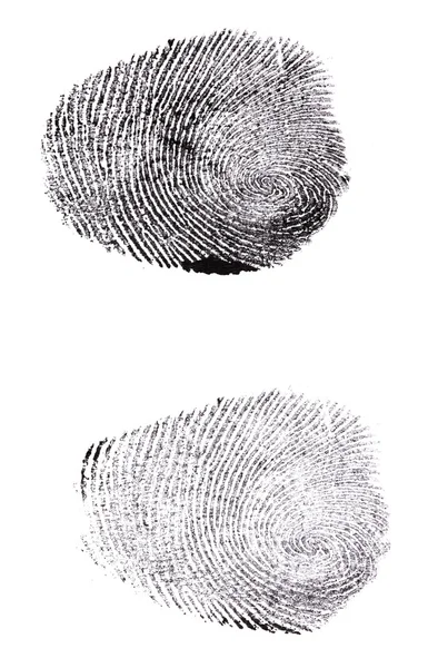 白で隔離される指紋 — ストック写真