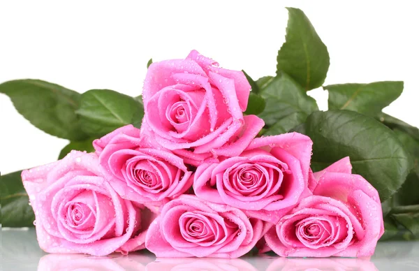 Számos rózsaszín rózsa, elszigetelt fehér — Stock Fotó
