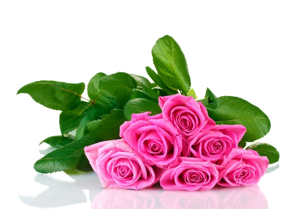 很多粉红色玫瑰花白色上孤立 — 图库照片