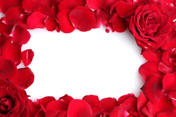 Piękne płatki czerwonych róż i róż na białym tle — Zdjęcie stockowe