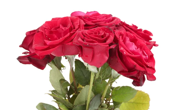 Mooi boeket van rode rozen geïsoleerd op wit — Stockfoto