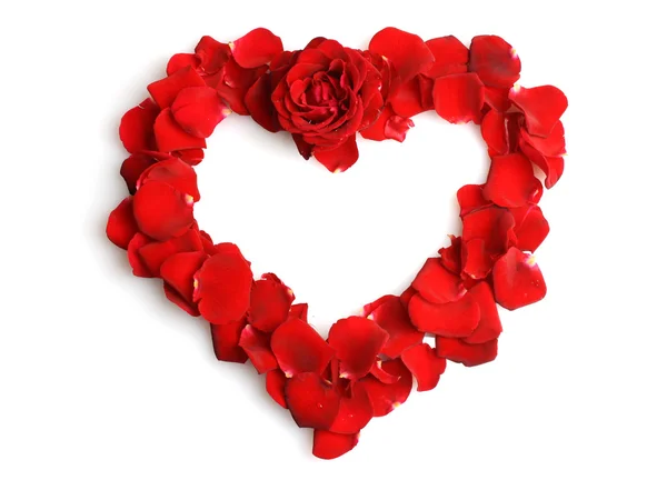 Belo coração de pétalas de rosa vermelhas isoladas em branco — Fotografia de Stock