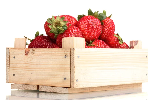 Fresas en caja de madera aisladas en blanco — Foto de Stock
