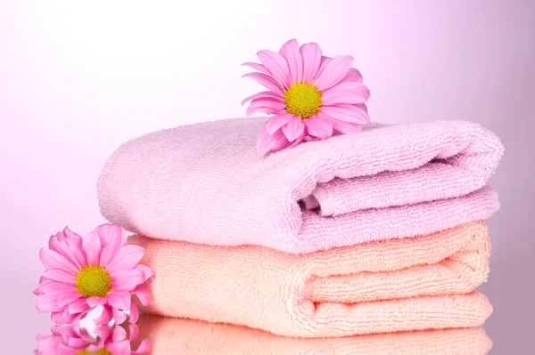 Рушники і красиві квіти на рожевому фоні — стокове фото