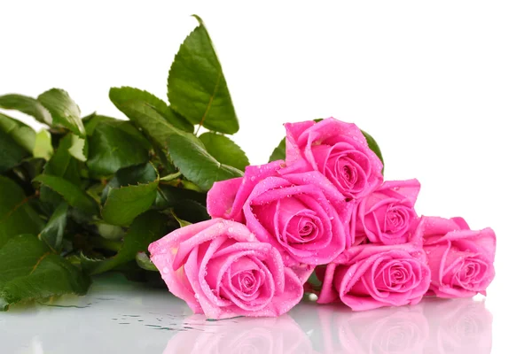 Many pink roses isolated on white — Stock Photo, Image