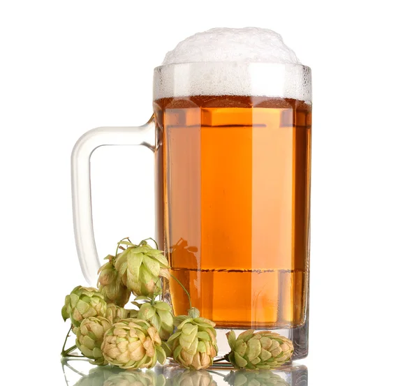 Bierkrug und grüner Hopfen isoliert auf weiß — Stockfoto