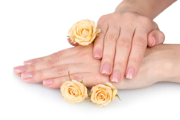 Rose et les mains isolées sur blanc — Photo