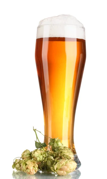 Cerveja em um copo e salto verde isolado em branco — Fotografia de Stock