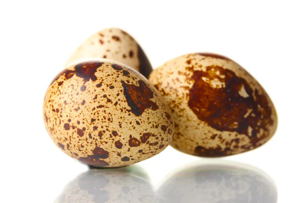 Tre uova di quaglia isilate su bianco — Foto Stock