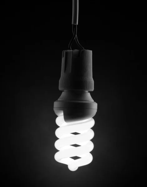 Uma lâmpada de poupança de energia acesa no fundo cinzento — Fotografia de Stock