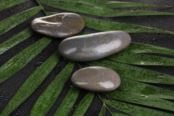 Piedras de spa con gotas de agua en hojas de palma sobre fondo negro — Foto de Stock