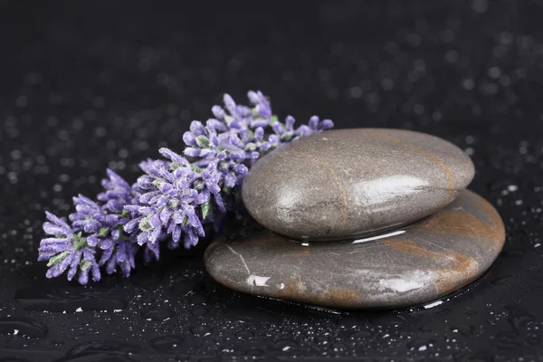 Spa stenar med vattendroppar och lavendel på svart bakgrund — Stockfoto