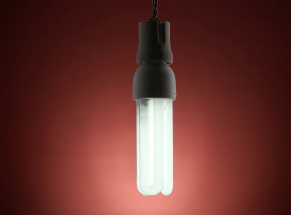 Uma lâmpada de poupança de energia acesa no fundo vermelho — Fotografia de Stock