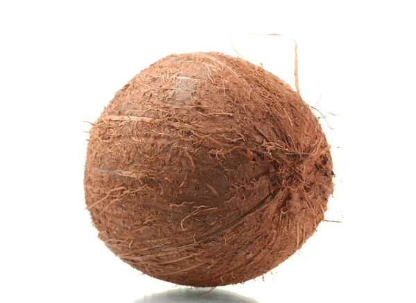 ? oconut 白で隔離 — ストック写真