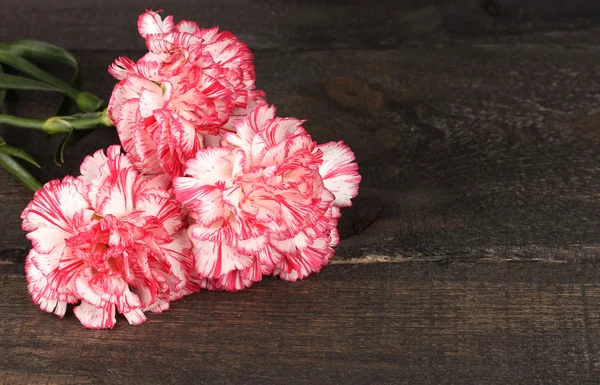 Beautiful carnations on grey wooden table — Stock Photo, Image