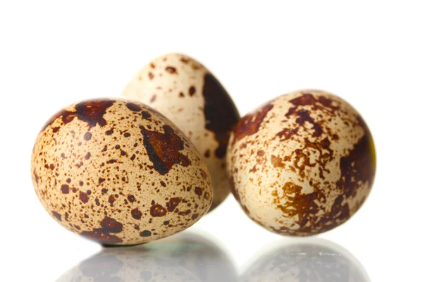 Three quail eggs isilated on white — Stock Photo, Image
