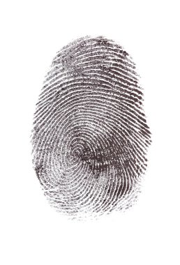 Fingerprint isolated on white clipart