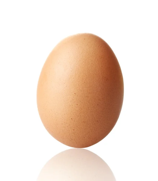 Brązowy jajko na białym tle — Zdjęcie stockowe