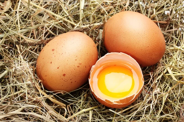 Uova di pollo in un nido primo piano — Foto Stock