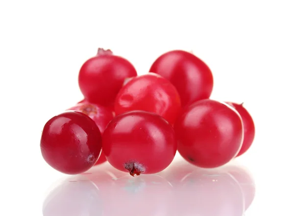 Cranberry segar terisolasi di atas putih — Stok Foto