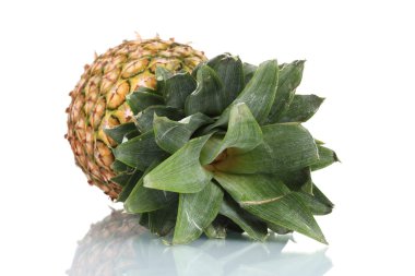 Beyaz üzerine izole edilmiş ananas