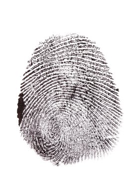 Fingerprint isolated on white clipart