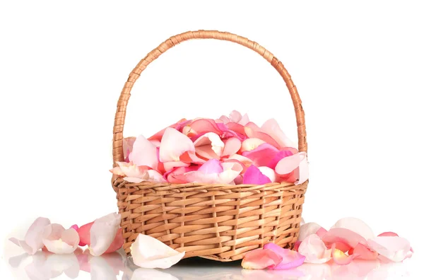 Beautiful pink rose petals in basket isolated on white — Stock Photo, Image