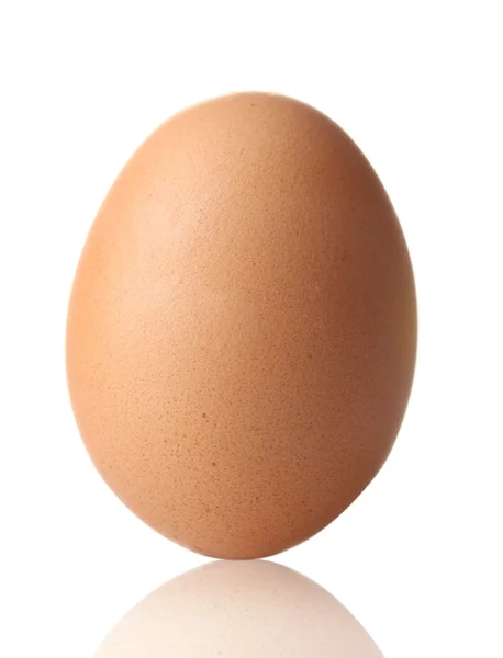 Коричневое яйцо на белом — стоковое фото