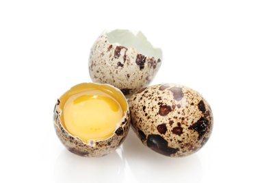 Quail eggs isilated on white clipart