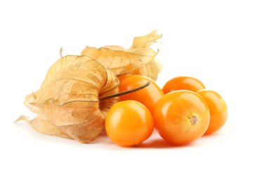 physalis öbek üzerinde beyaz izole