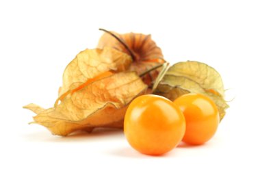 physalis öbek üzerinde beyaz izole