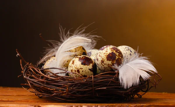 Huevos de codorniz en el nido en la mesa de madera sobre fondo marrón —  Fotos de Stock