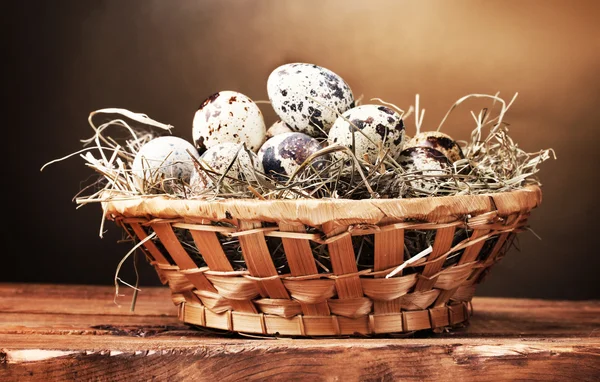 Huevos de codorniz en el nido en la mesa de madera sobre fondo marrón — Foto de Stock