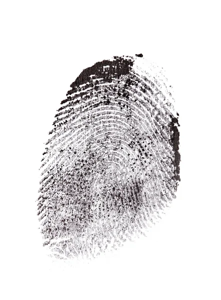 stock image Fingerprint isolated on white