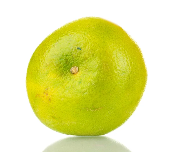 Green grapefruit isolated on white — Stock Photo, Image