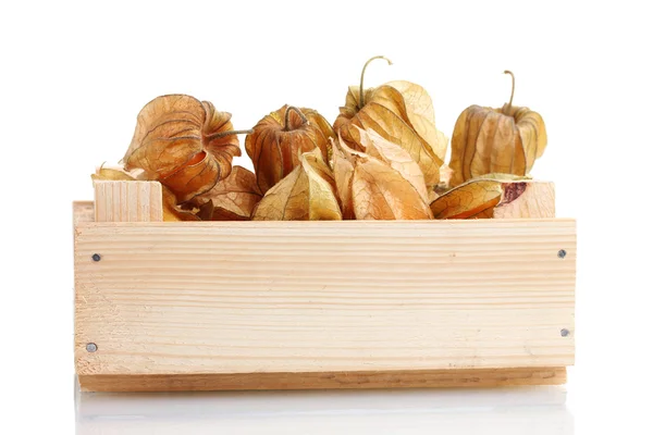 Physalis in crate isolated on white — Stock Photo, Image
