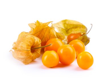 physalis öbek üzerinde beyaz izole