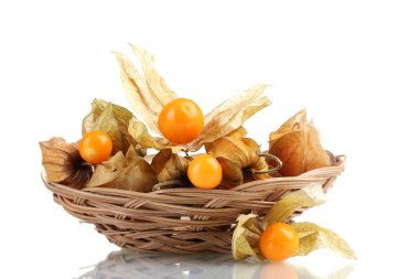 Physalis sepette beyaz izole