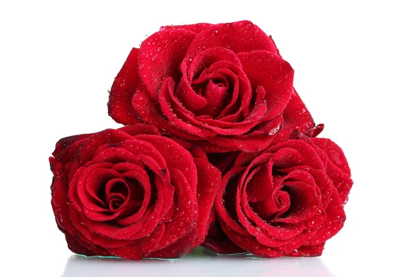 三个美丽的红玫瑰在白色隔离 — 图库照片