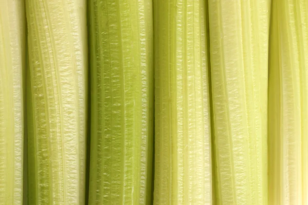Fresh green celery closeup — Stock Photo, Image