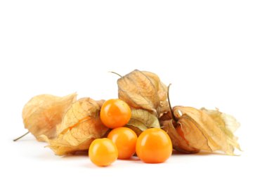 physalis öbek üzerinde beyaz izole