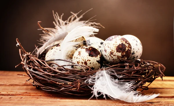 Ovos de codorna no ninho na mesa de madeira no fundo marrom — Fotografia de Stock