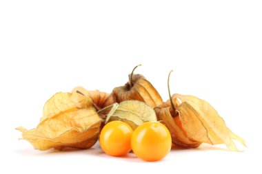 physalis öbek üzerinde beyaz izole