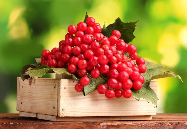 Red berries of viburnum in wooden box on green background — Stock Photo, Image