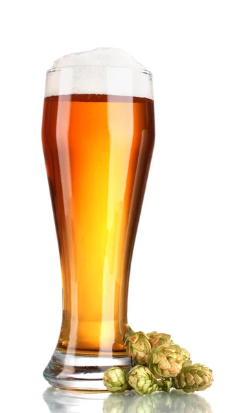Pivo ve sklenici a zelené hop izolovaných na bílém — Stock fotografie