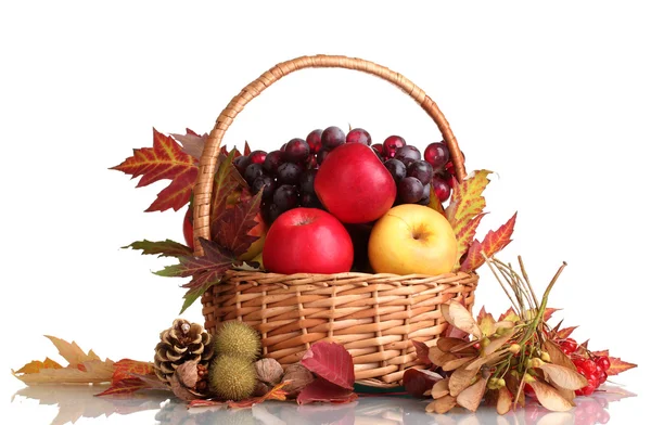 Beautiful autumn harvest in basket and leaves isolated on white — Stock Photo, Image